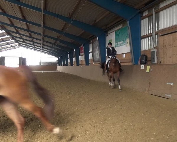 Reitturnier Remscheid, Buscher Hof 2018