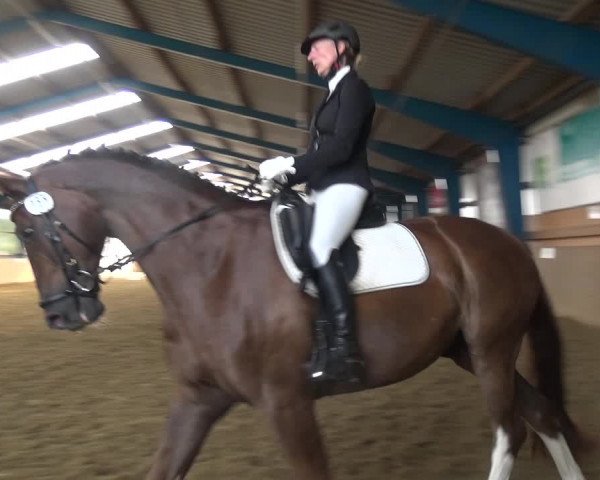 Reitturnier Remscheid, Buscher Hof 2018