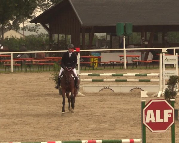 Reitturnier Fröndenberg 2018