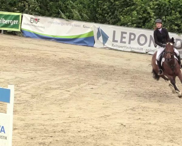 Reitturnier Fröndenberg 2018