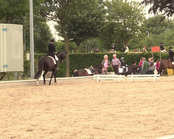 Reitturnier Fröndenberg 2018
