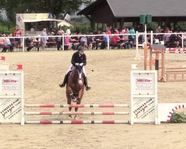 Reitturnier Fröndenberg 2018