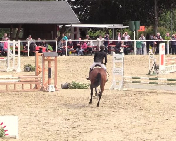 Reitturnier Fröndenberg 2018