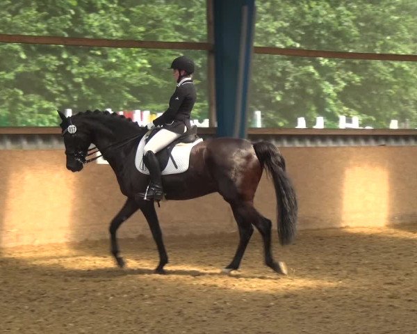 Reitturnier Remscheid, Buscher Hof 2018
