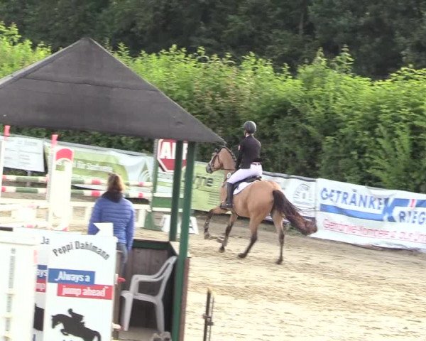 Reitturnier Fröndenberg 2018
