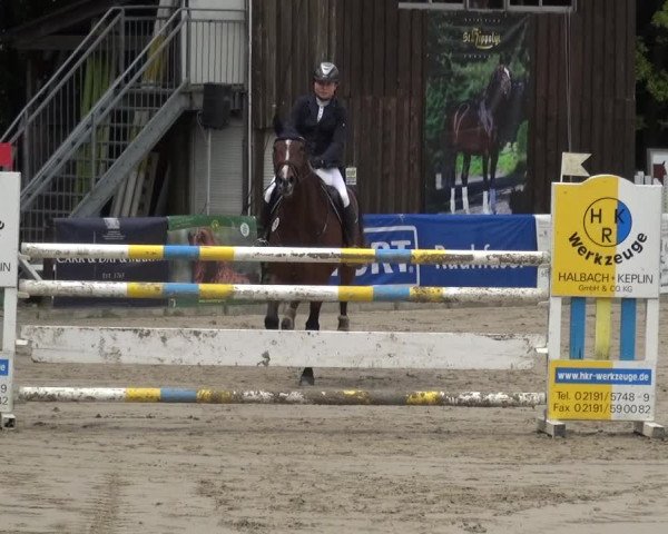 Reitturnier Remscheid, Buscher Hof 2018