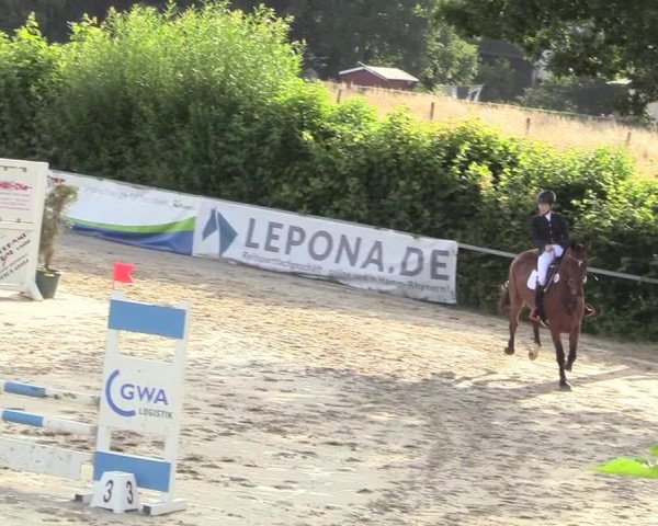 Reitturnier Fröndenberg 2018