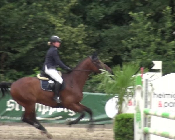 Reitturnier Remscheid, Buscher Hof 2018