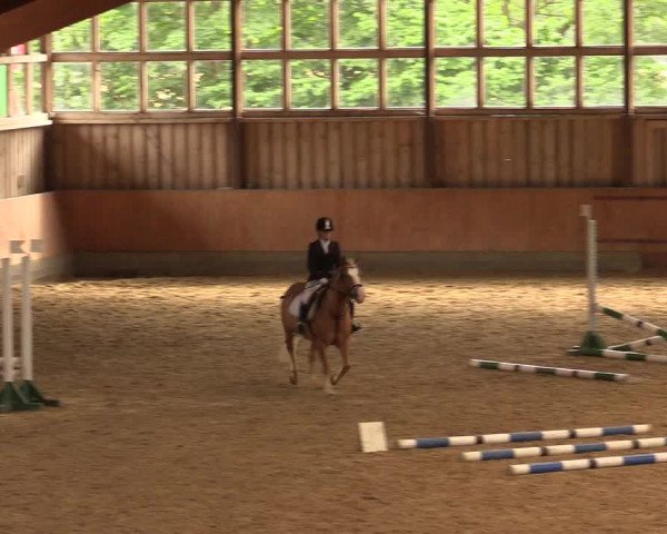 Reitturnier Fröndenberg 2018