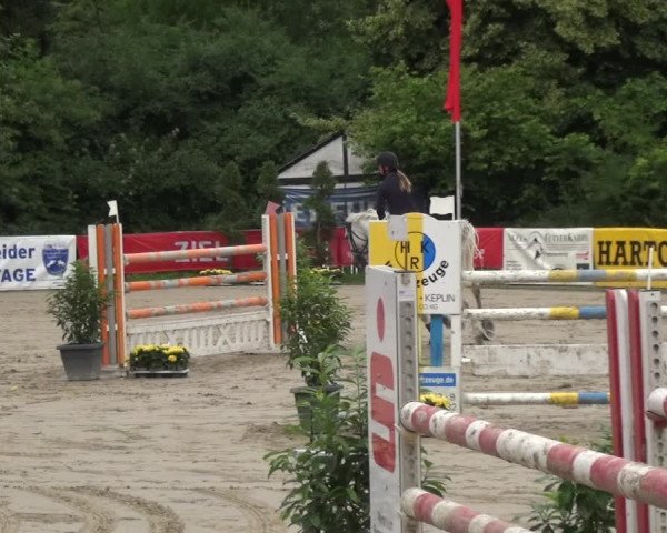 Reitturnier Remscheid, Buscher Hof 2018
