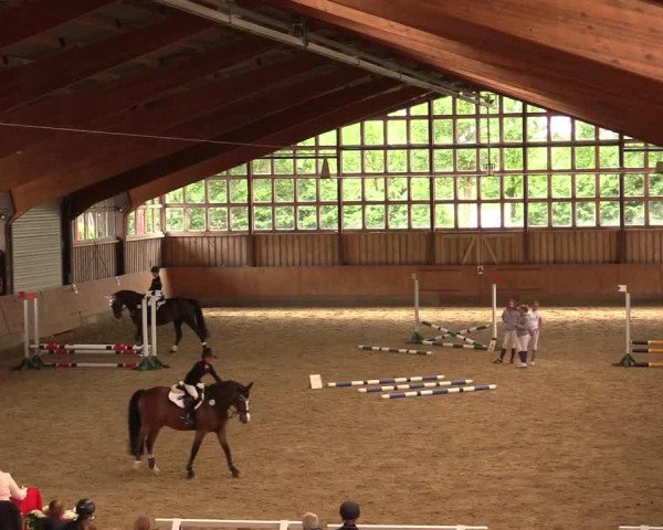 Reitturnier Fröndenberg 2018