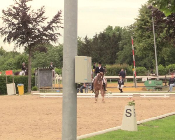 Reitturnier Fröndenberg 2018