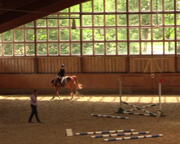 Reitturnier Fröndenberg 2018