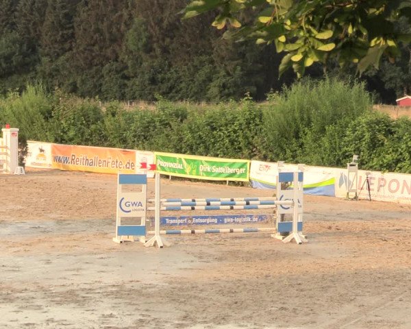 Reitturnier Fröndenberg 2018