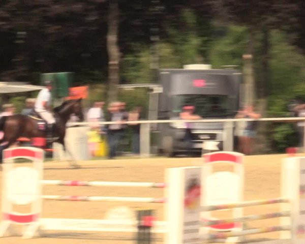 Reitturnier Fröndenberg 2018