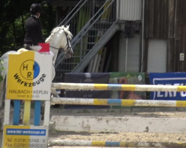 Reitturnier Remscheid, Buscher Hof 2018