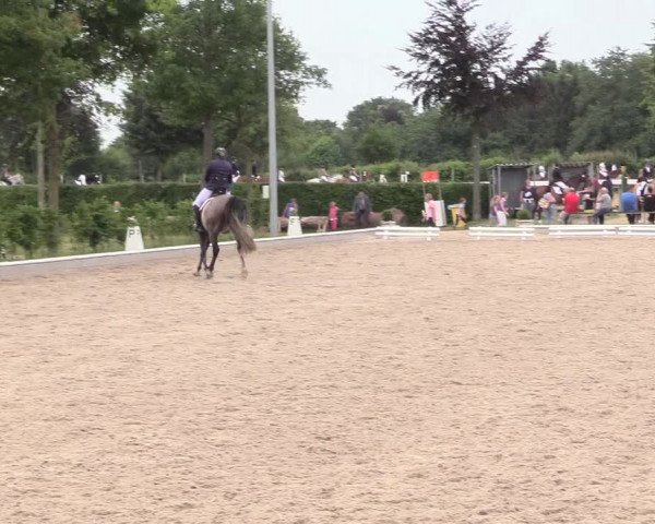Reitturnier Fröndenberg 2018