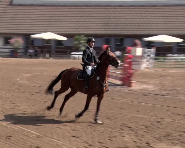 Reitturnier Alt Zeschdorf 2018