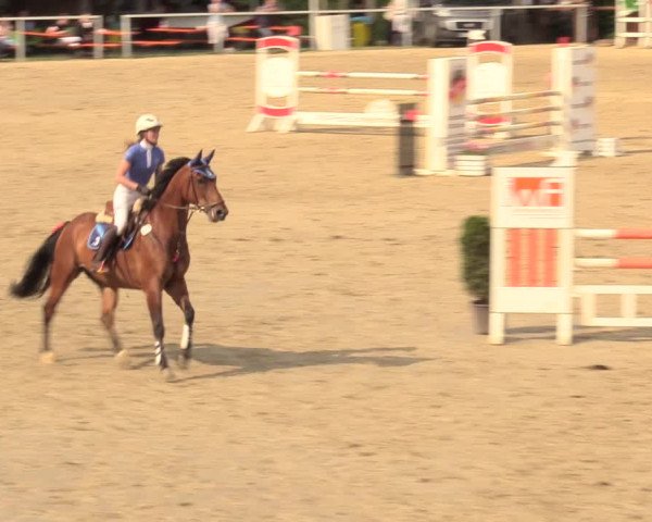 Reitturnier Fröndenberg 2018