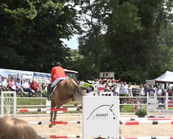 Rottaler Pferdesporttage Buholz 2018