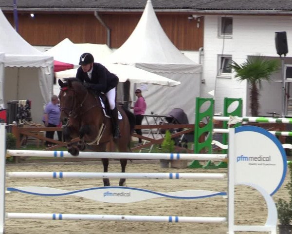 Equus Colonius - Reitanlage Brüse Köln 2021