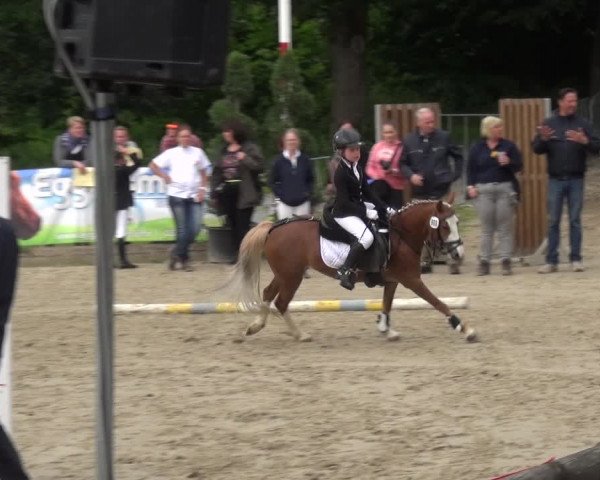 Reitturnier Remscheid, Buscher Hof 2018