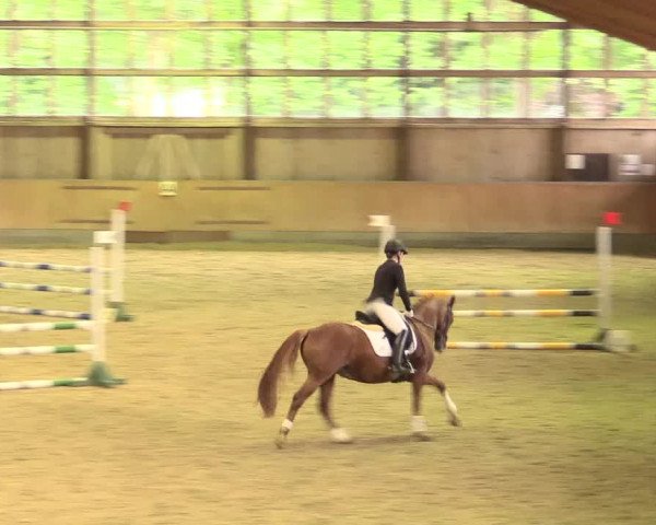Reitturnier Fröndenberg 2018