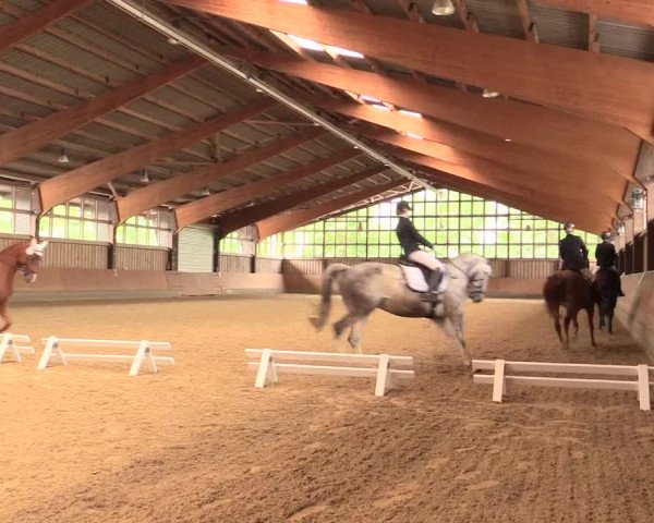 Reitturnier Fröndenberg 2018