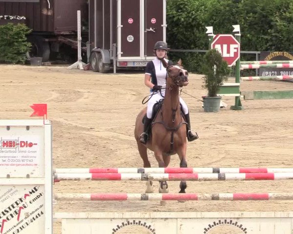 Reitturnier Fröndenberg 2018