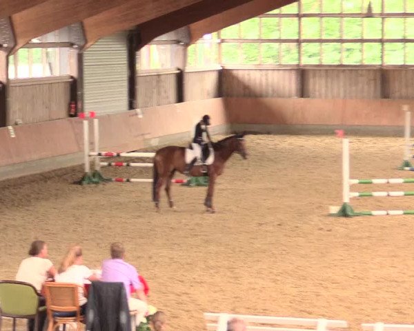 Reitturnier Fröndenberg 2018