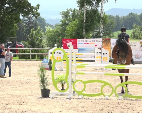 Rottaler Pferdesporttage Buholz 2018