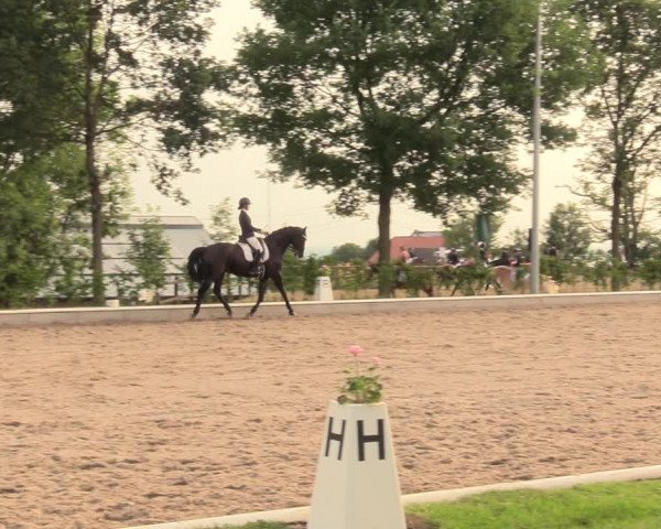 Reitturnier Fröndenberg 2018