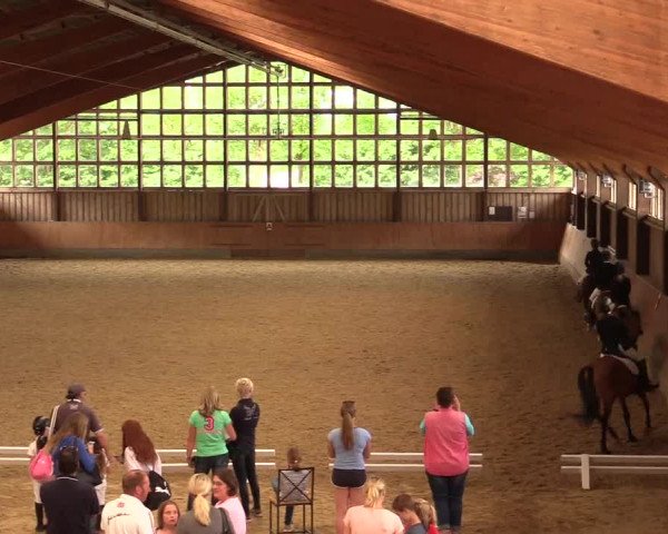 Reitturnier Fröndenberg 2018