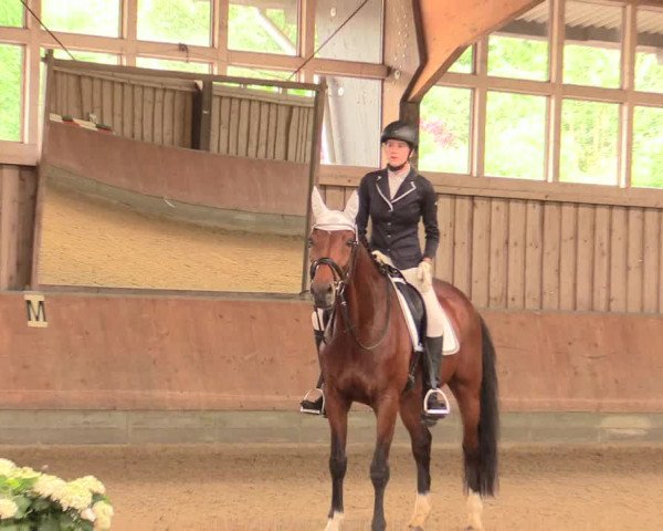Reitturnier Fröndenberg 2018