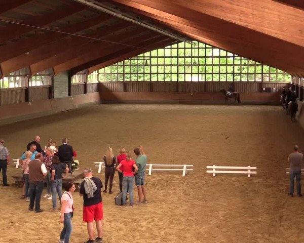 Reitturnier Fröndenberg 2018