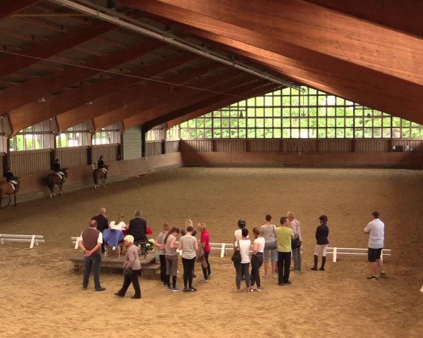 Reitturnier Fröndenberg 2018