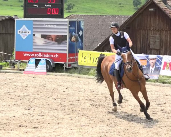 Rottaler Pferdesporttage Buholz 2018
