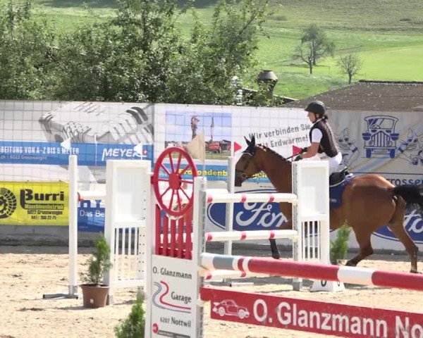 Rottaler Pferdesporttage Buholz 2018