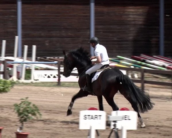 Reitturnier Alt Zeschdorf 2018