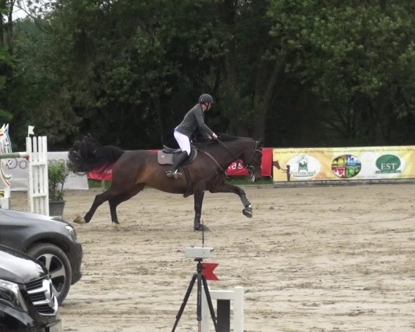 Reitturnier Remscheid, Buscher Hof 2018