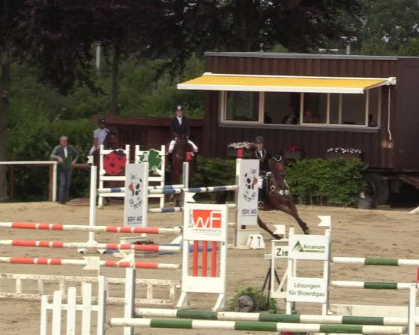 Reitturnier Fröndenberg 2018