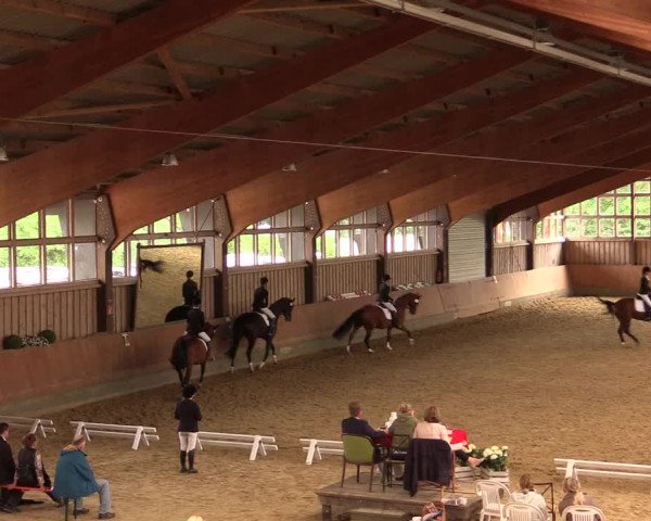 Reitturnier Fröndenberg 2018