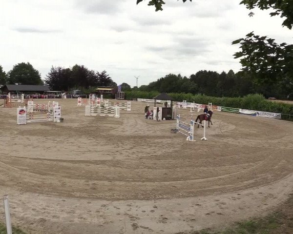 Reitturnier Fröndenberg 2018