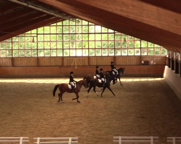 Reitturnier Fröndenberg 2018