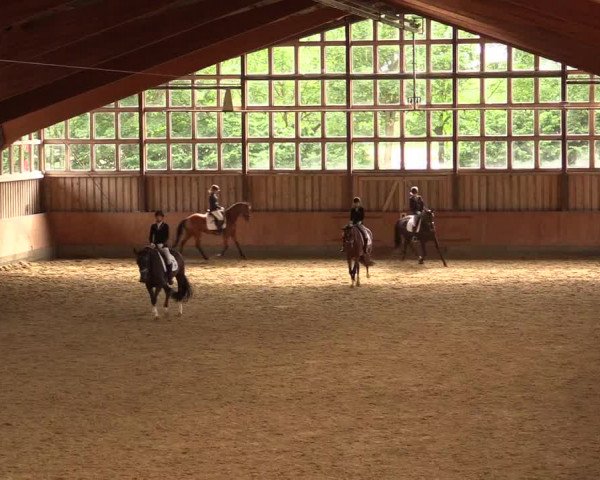 Reitturnier Fröndenberg 2018