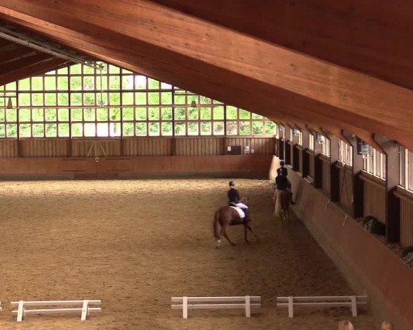 Reitturnier Fröndenberg 2018
