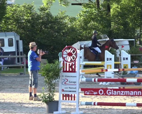Rottaler Pferdesporttage Buholz 2018
