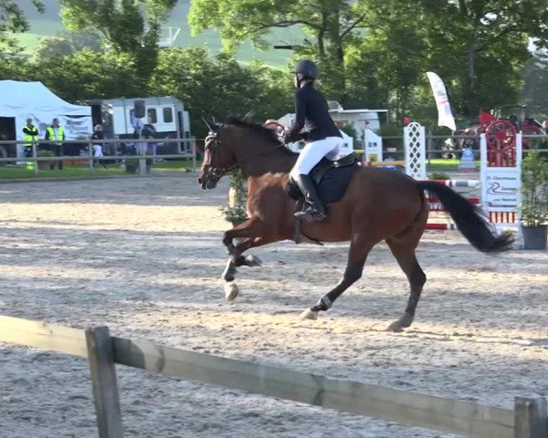 Rottaler Pferdesporttage Buholz 2018