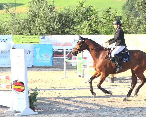 Rottaler Pferdesporttage Buholz 2018