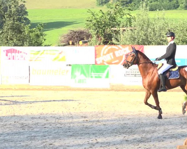 Rottaler Pferdesporttage Buholz 2018